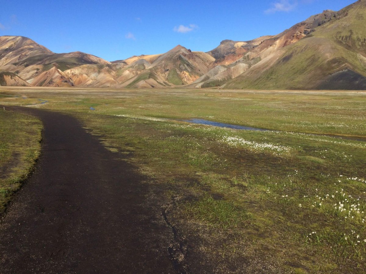 Cesta nedaleko kempu