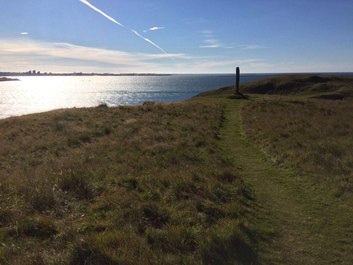 Jedna z mnoha cestiček na Viðey