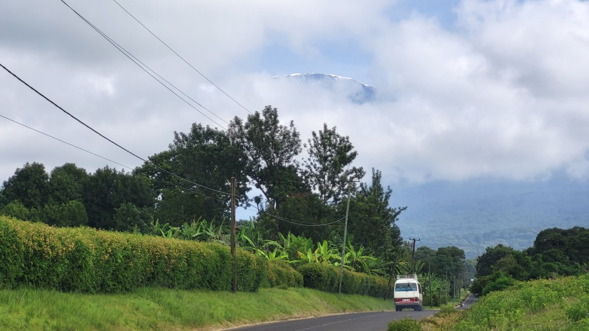 Kilimanjaro