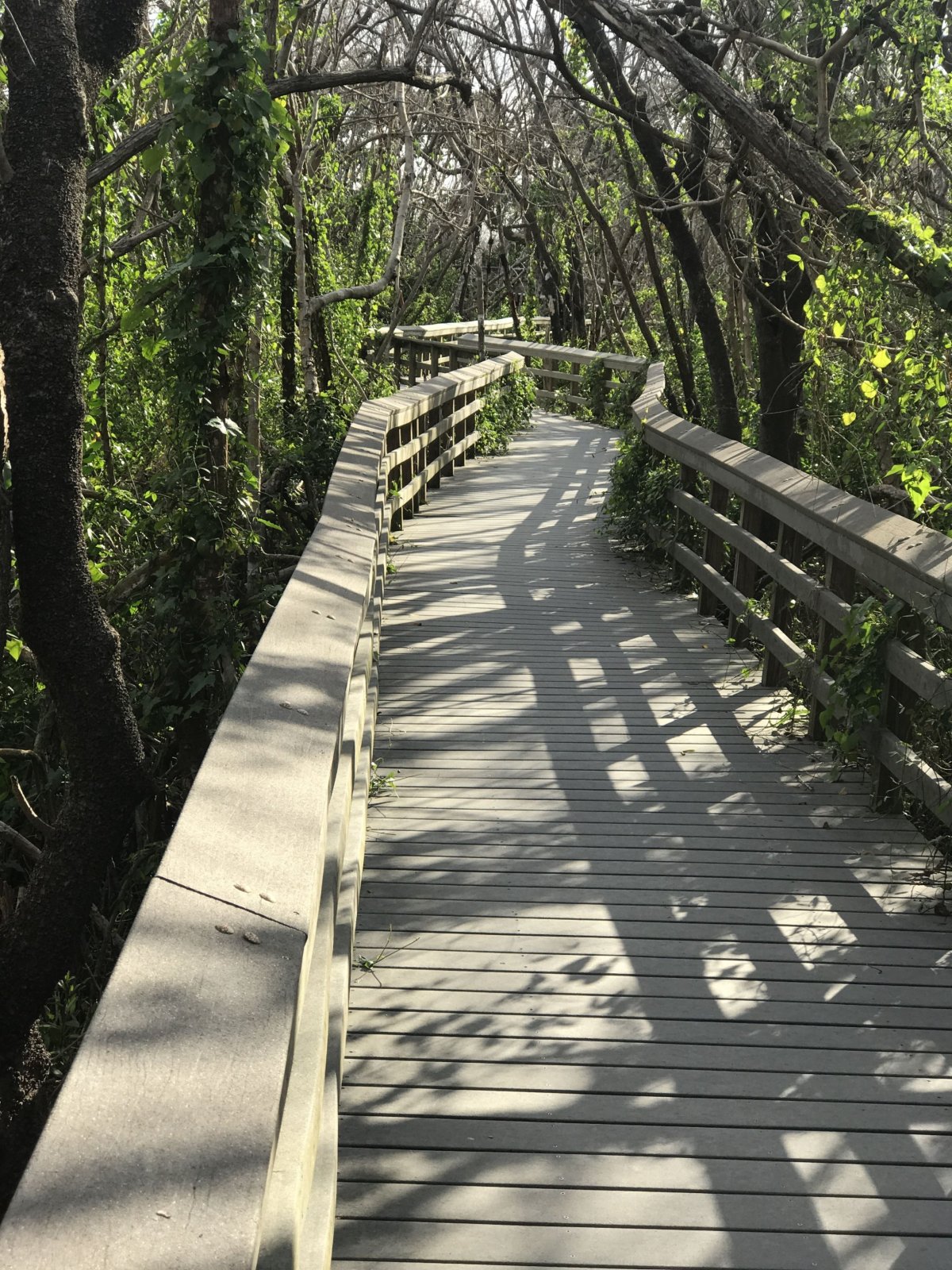 Hlavička uživatele