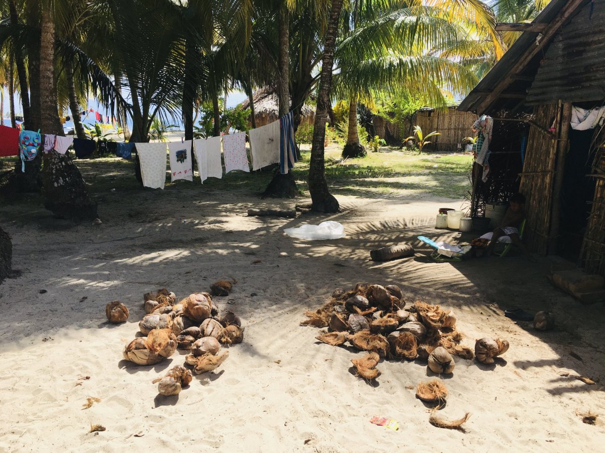 Kokosy, levné jídlo a pití