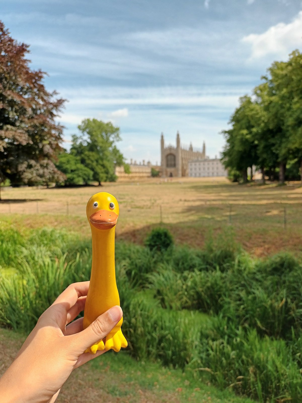 Pohled na kapli z parku The Backs