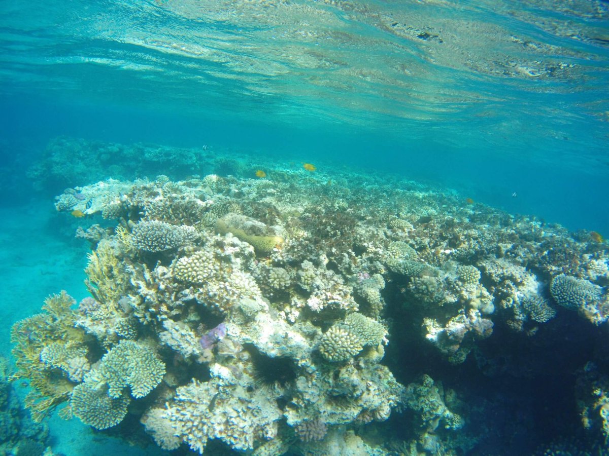 Ve skutečnosti je vše samozřejmě krásnější