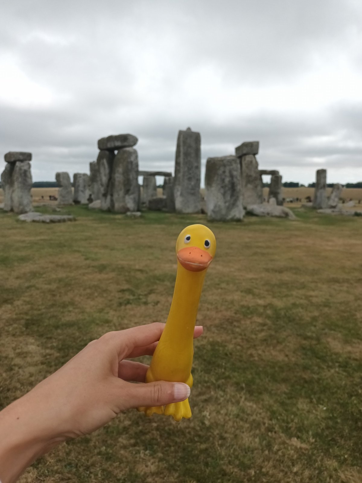 Řekni "Cheeeeseee" 🧀