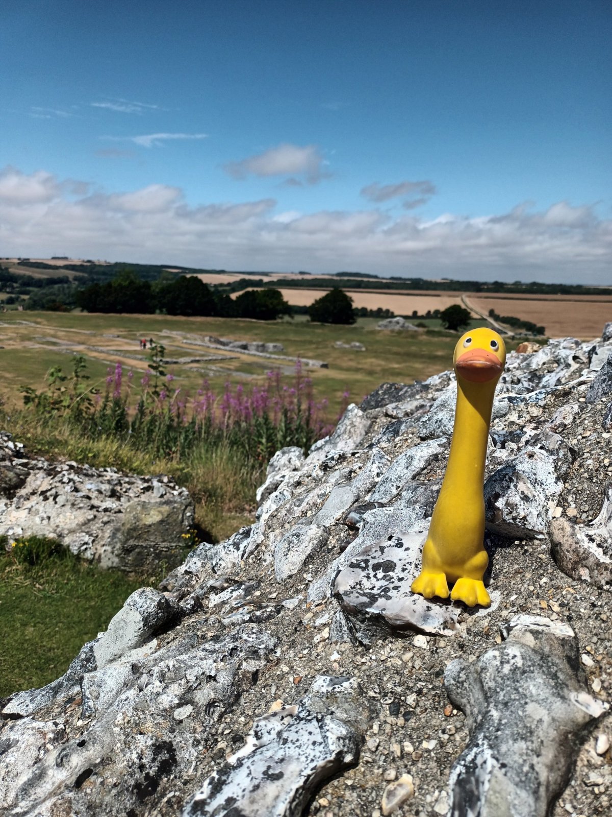 Obvodová zeď Old Sarum