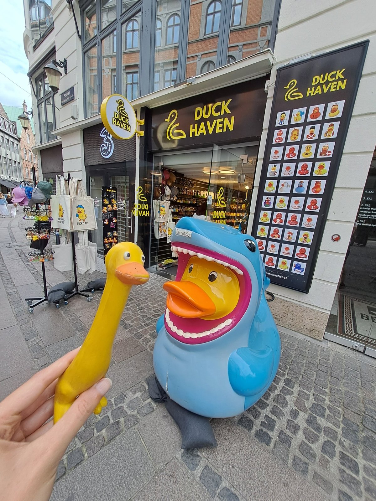 Jsem v kachním nebi?