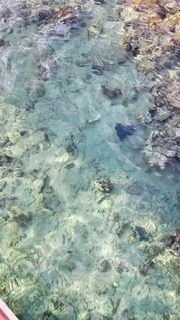 korálová pláž ♥