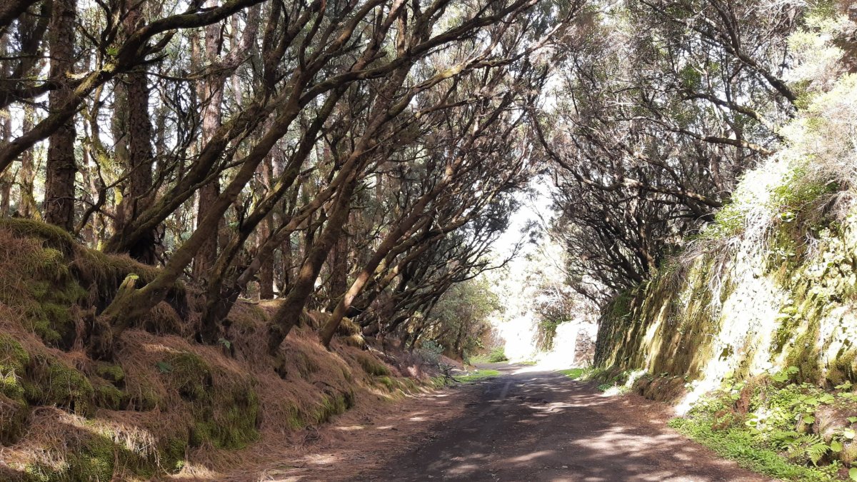 Změny krajiny na pár set metrech ...