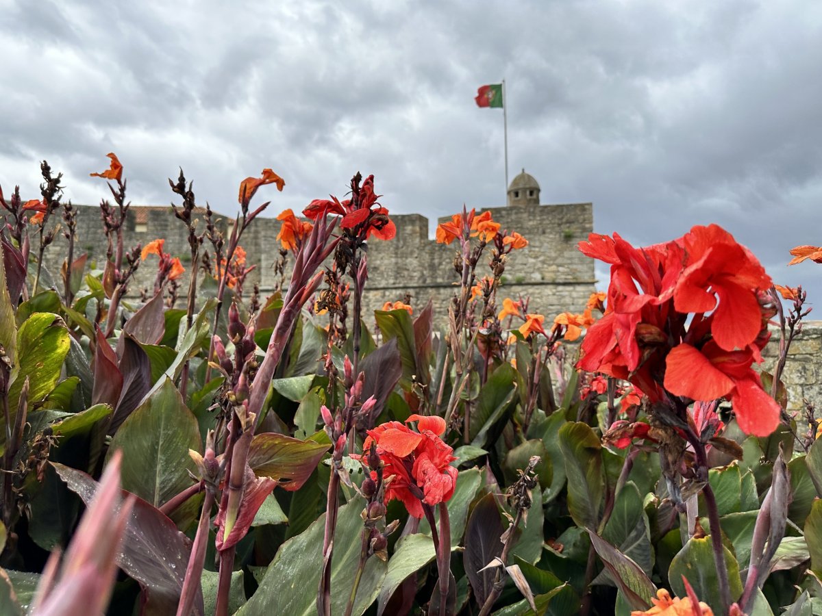 Fortaleza de São João da Foz