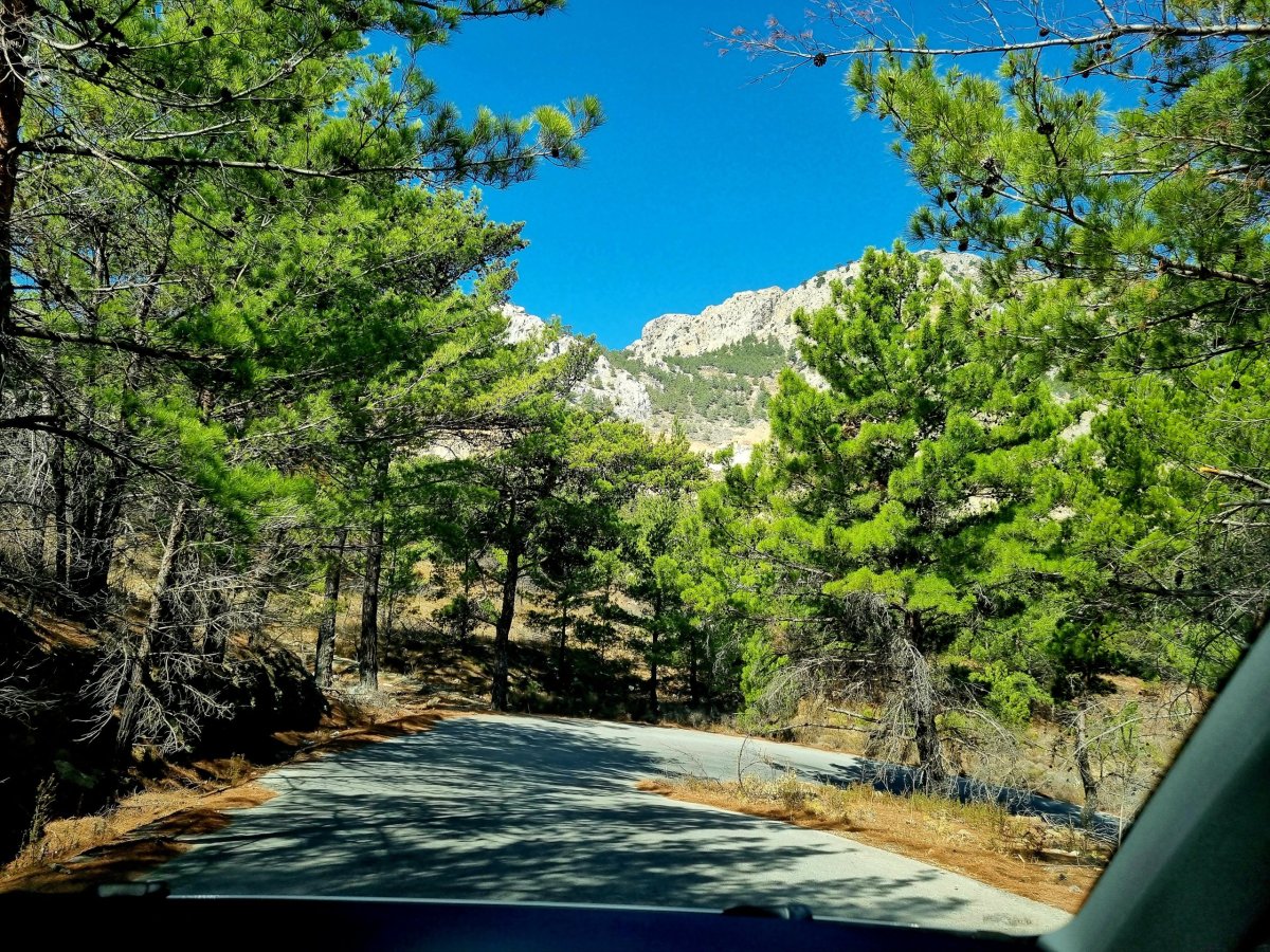 Cesta na Kato Lakkos 