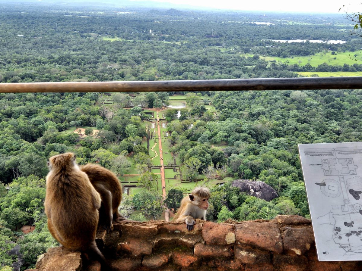 Sigiriya - výhled na dolní zahrady