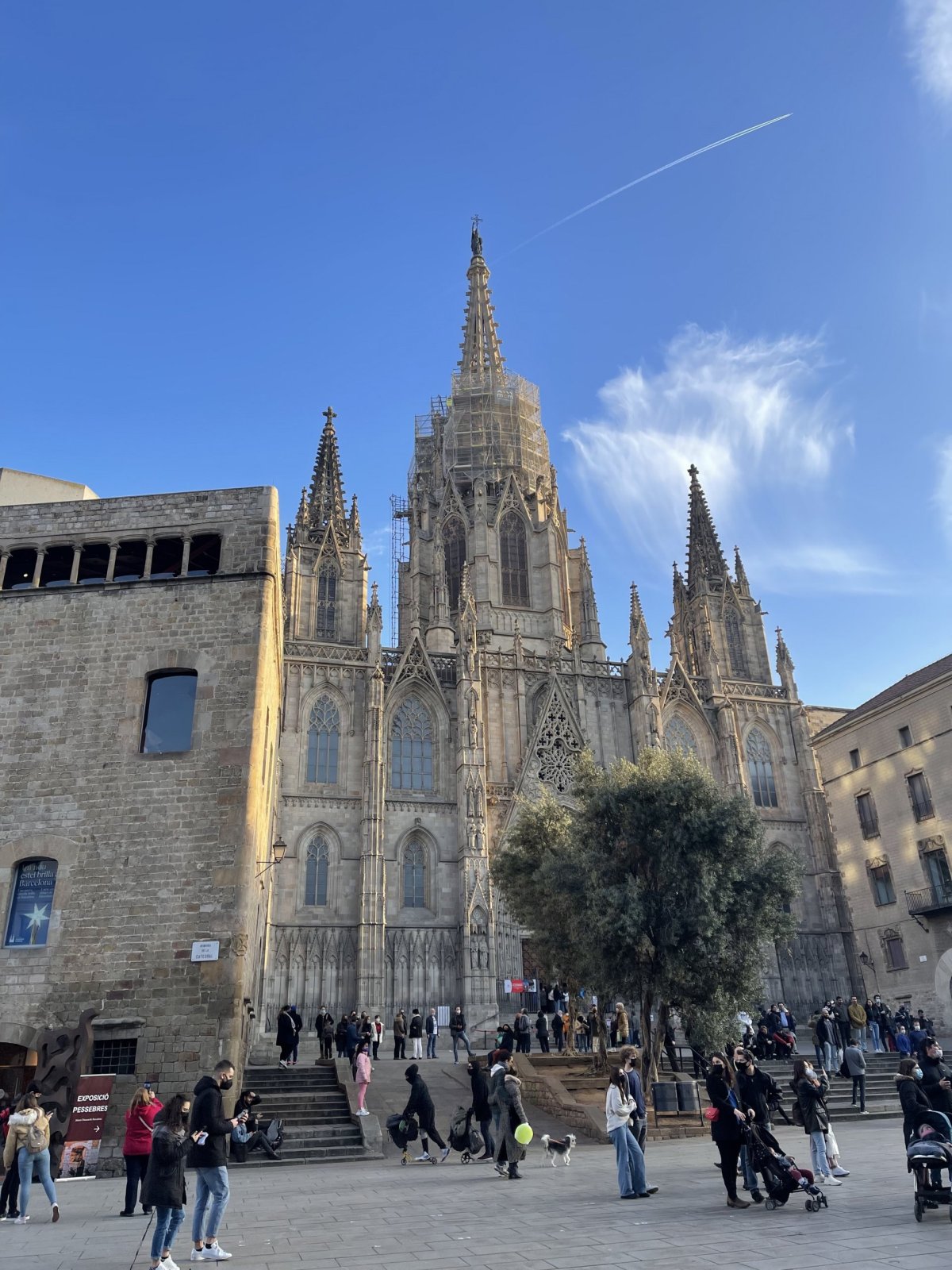 Barcelonoská katedrála
