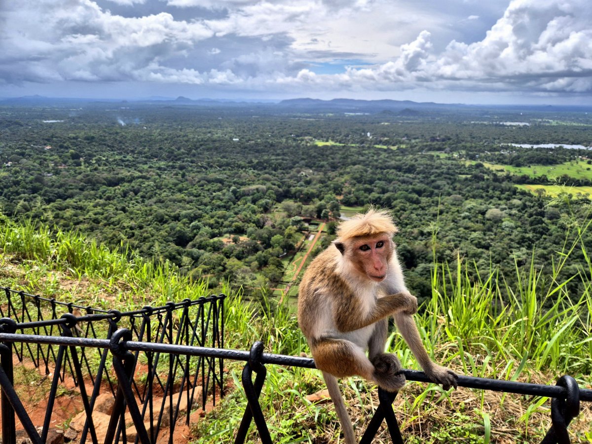 Sigiriya - výhledy