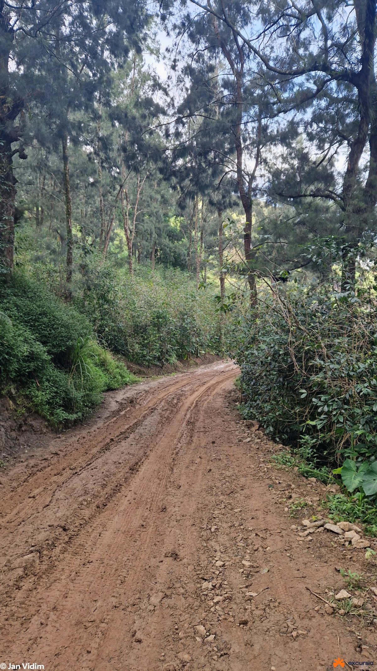 Někdy je silnice úplně na prd