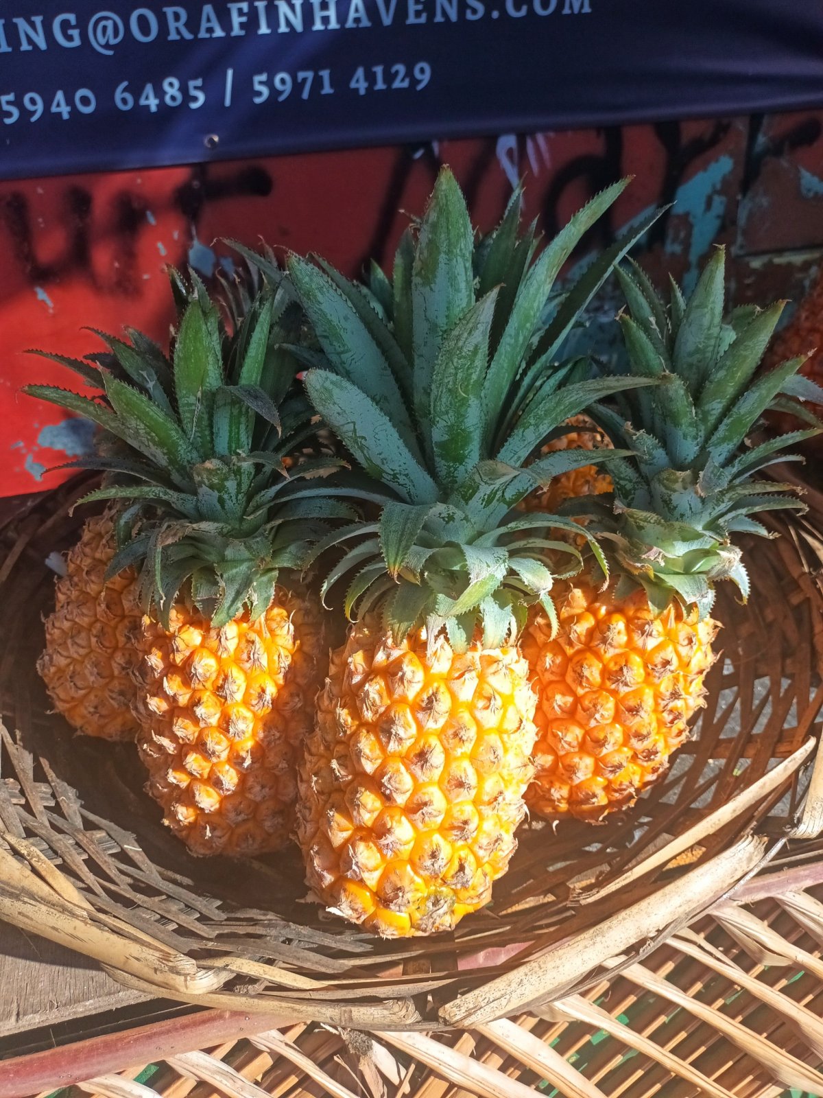 ..a ananasu v plném proudu