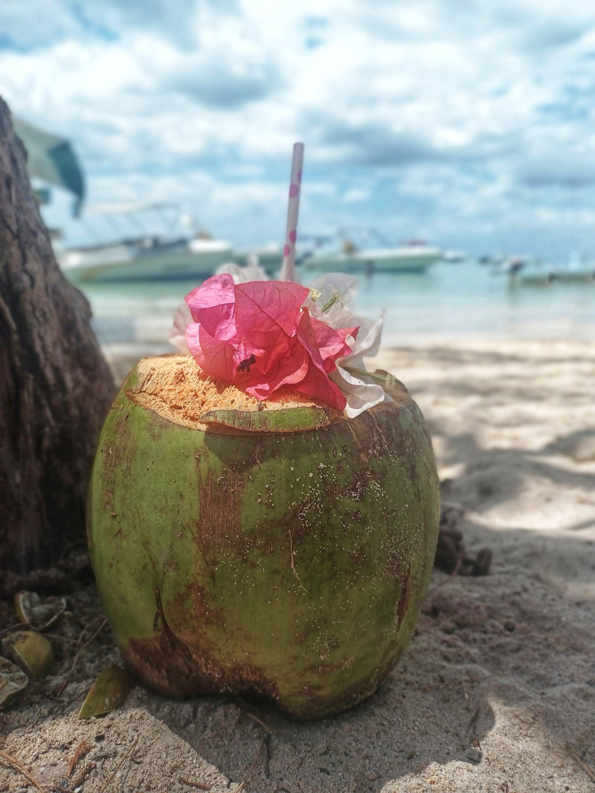 Výlet na Île aux Benitiers..