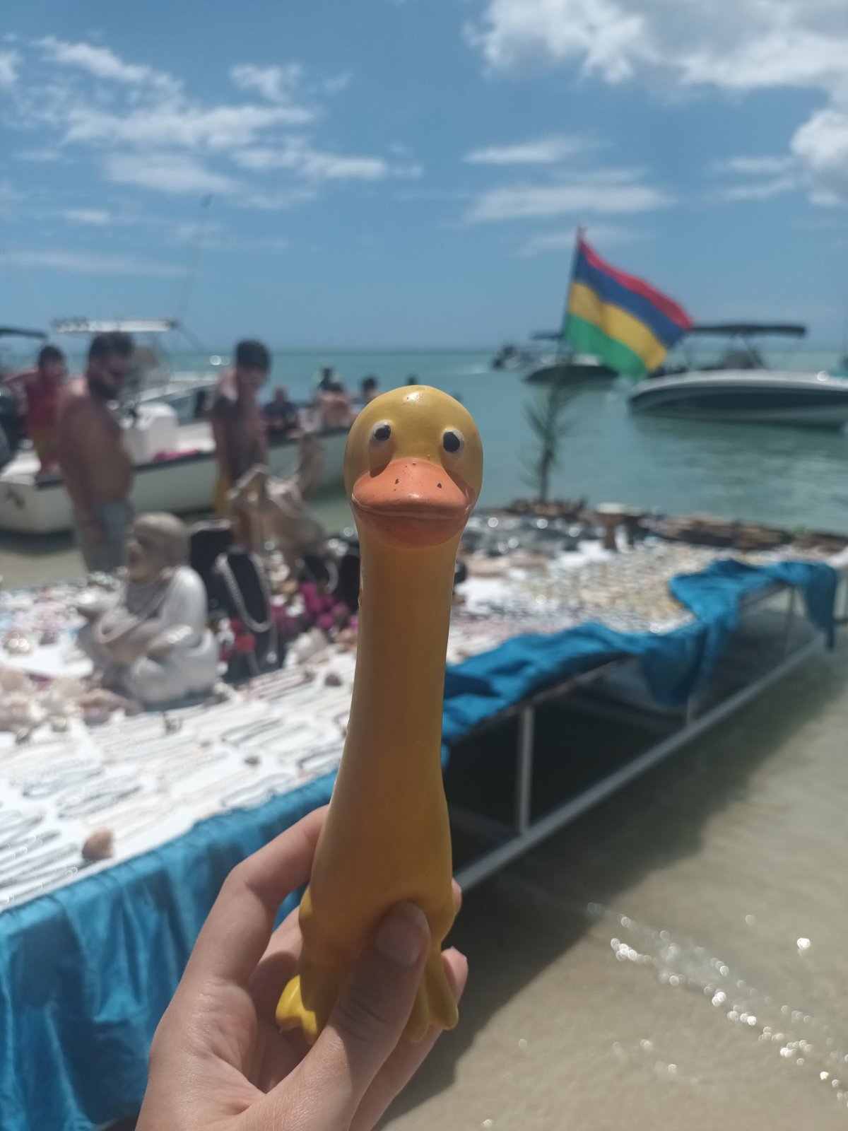 ..můžeme jedině..