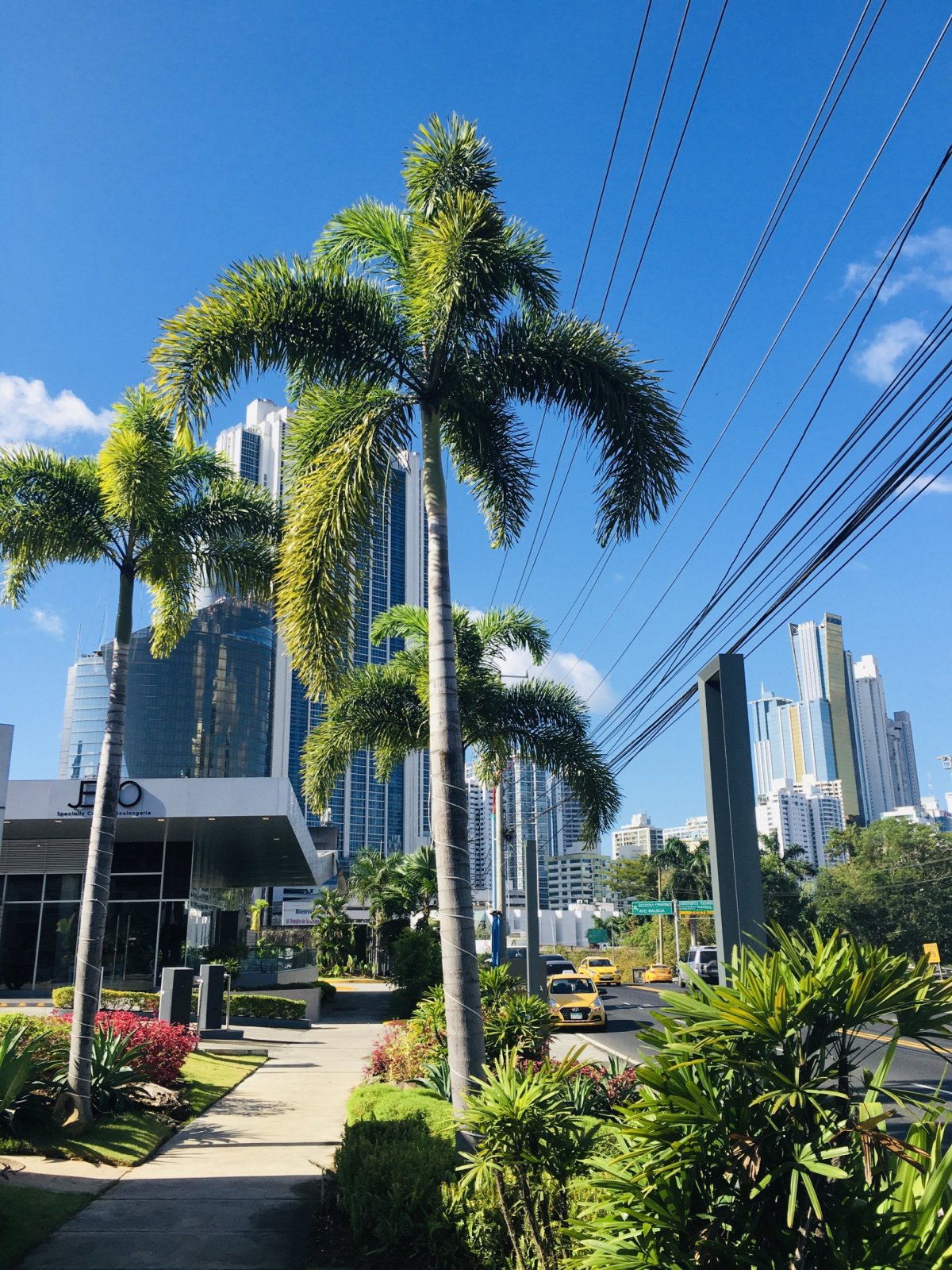 Zelené nové město