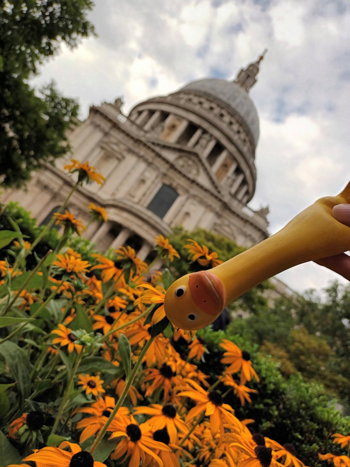 Katedrála svatého Pavla