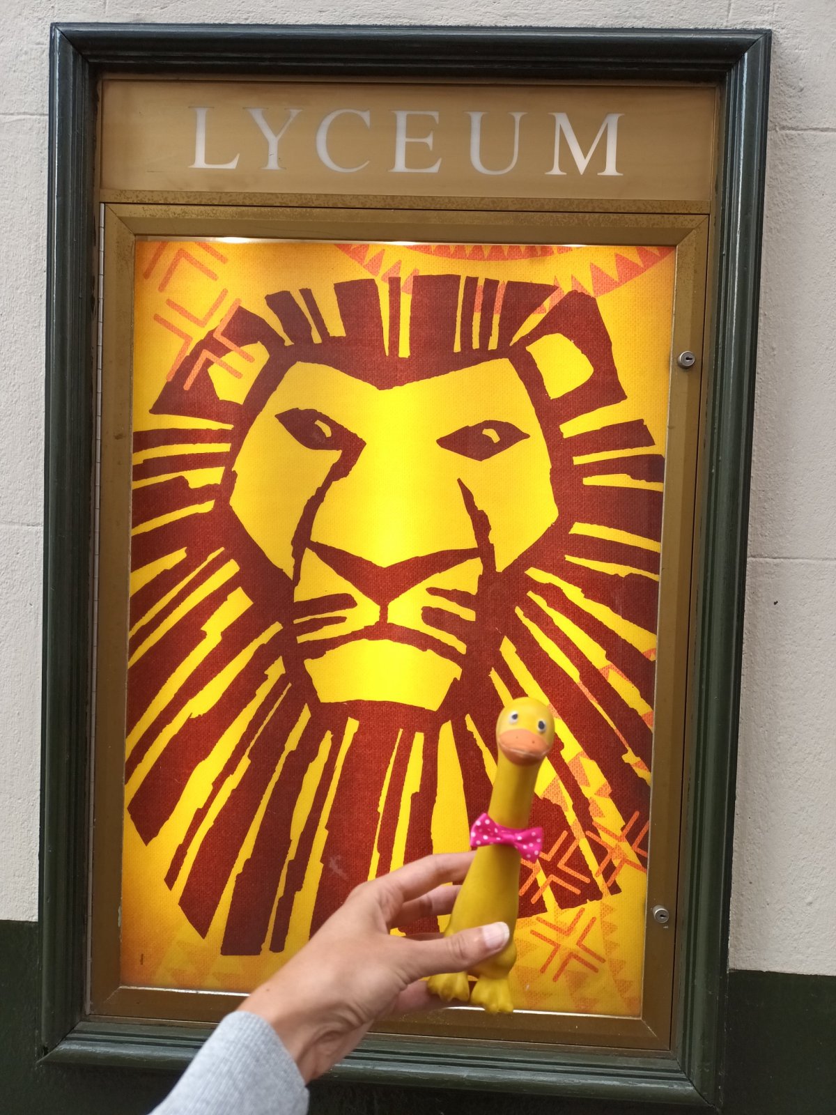 The Lion King – Lví král.. to je to pravé pro malou kachničku 🐥💛🦁