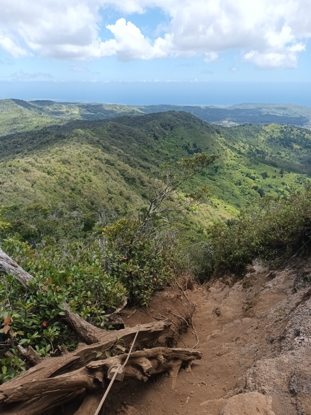 Už jsem se fakt bál, že to bude nuda..