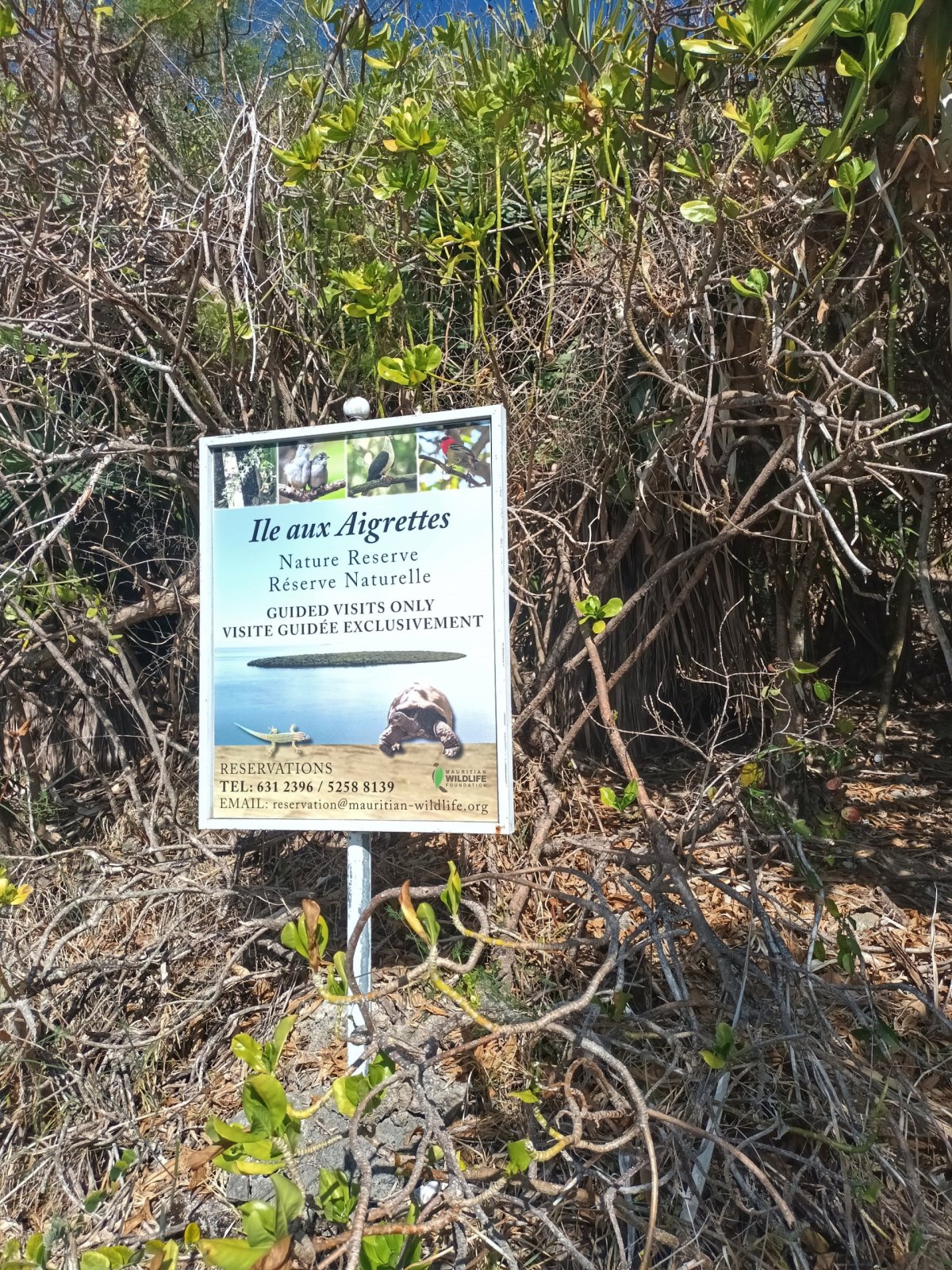 Ostrov Ile aux Aigrettes