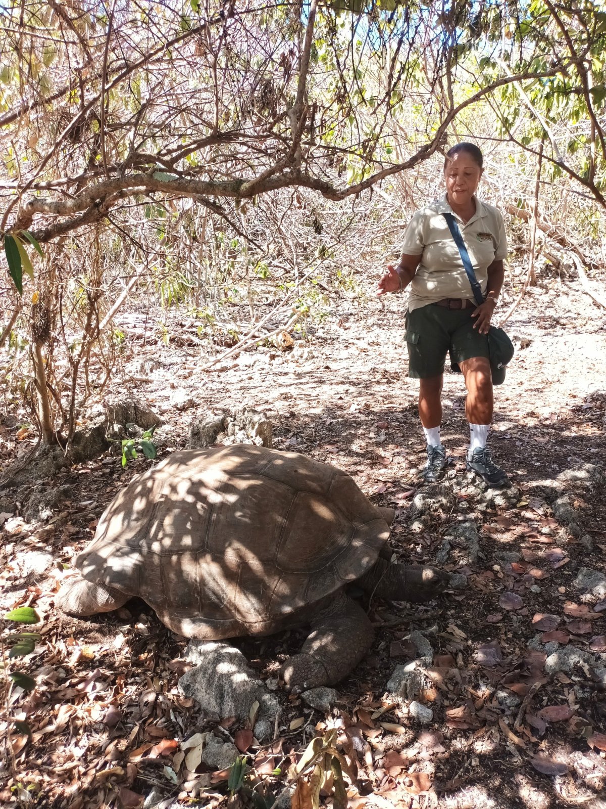 Správkyně parku a přednáška o želvách