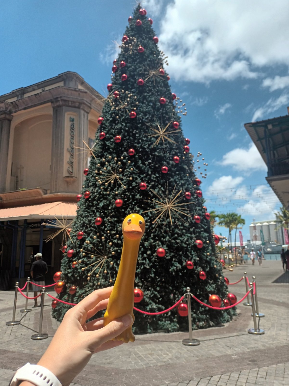 Vánoční stromeček v Port Louis