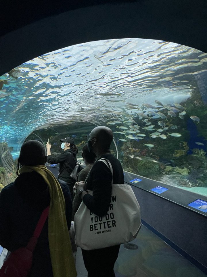 takový menší akvárko