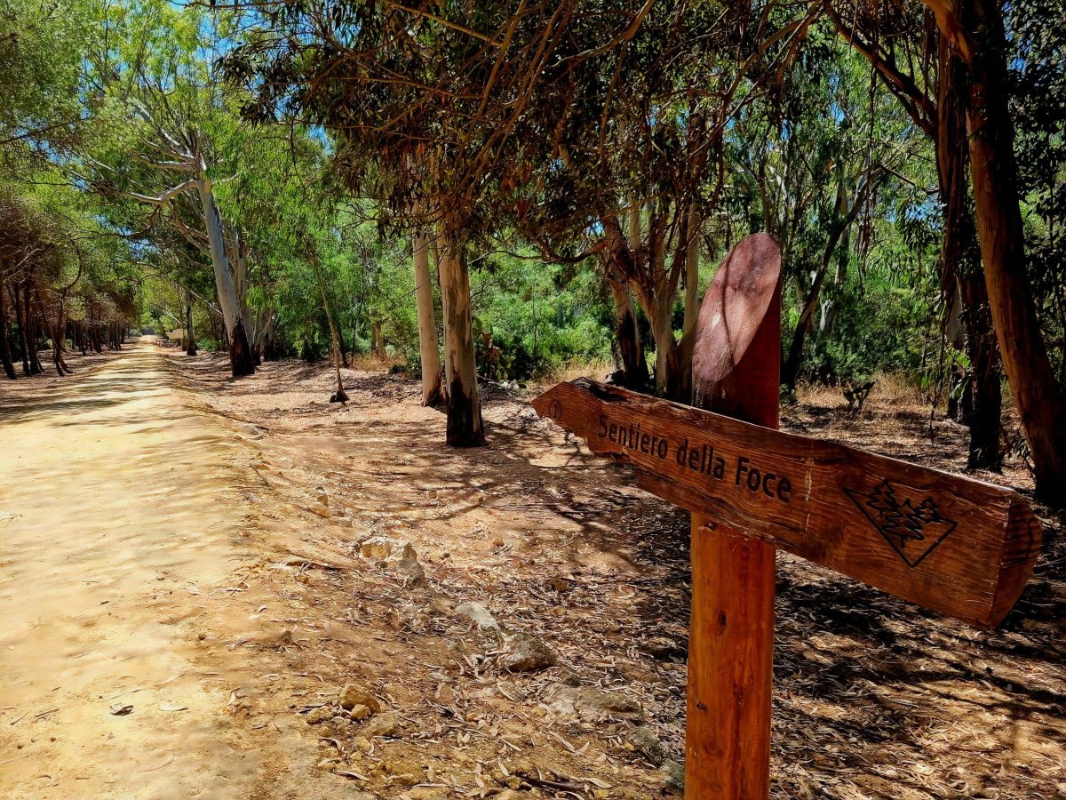 Riserva Foce del Platani