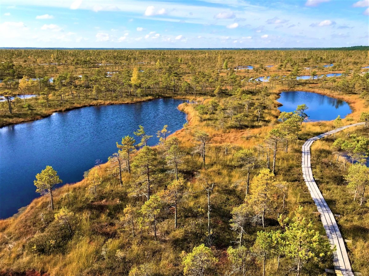 Lotyšsko protíná stejná rovnoběžka, jako jižní Švédsko nebo spodní část Kanady.