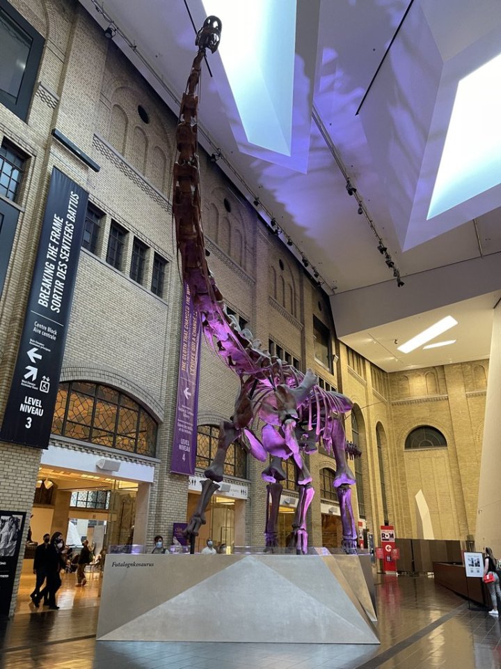 Royal Ontario Museum