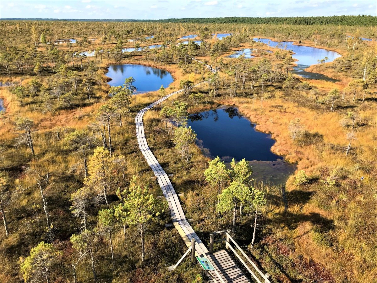 Výhledy z pozorovatelny stojí za to!