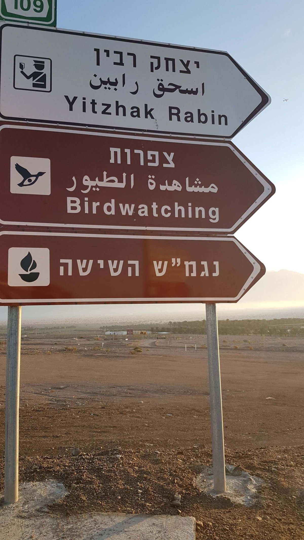 borders & birdwatching (just in case you wait for a while)