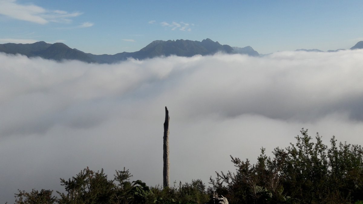 Pumalín - Sendero Volcán Chaitén.