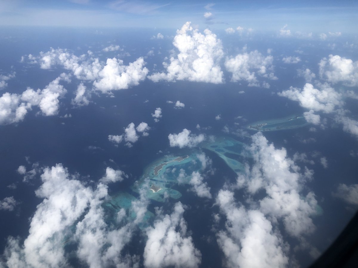 Který je asi ten "náš"?