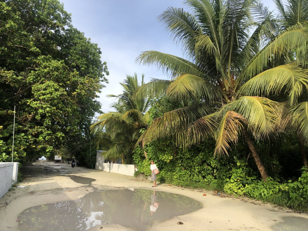 Cesta k moři - všudypřítomné louže