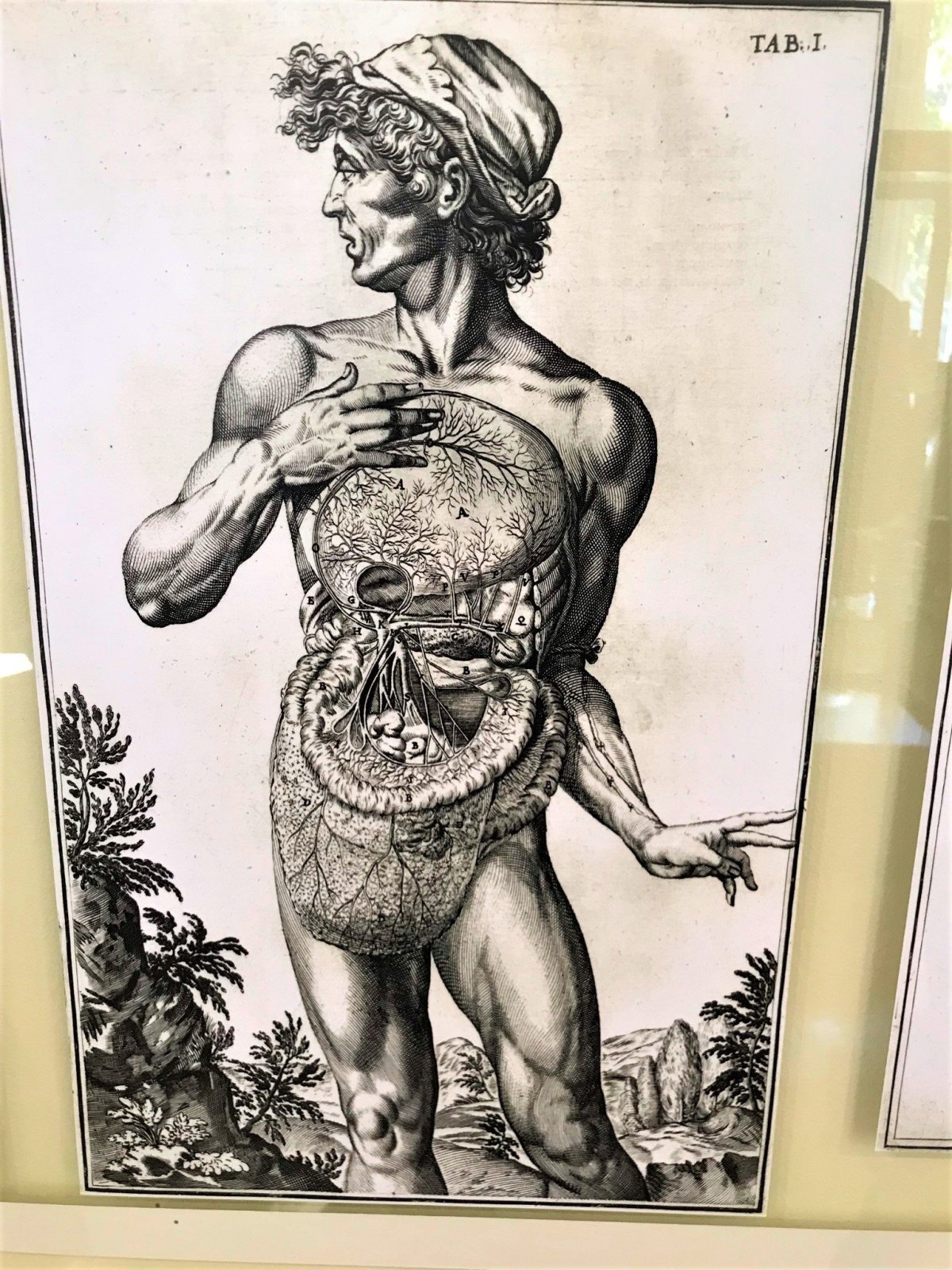 Poznání lidského těla neskončilo dodnes.