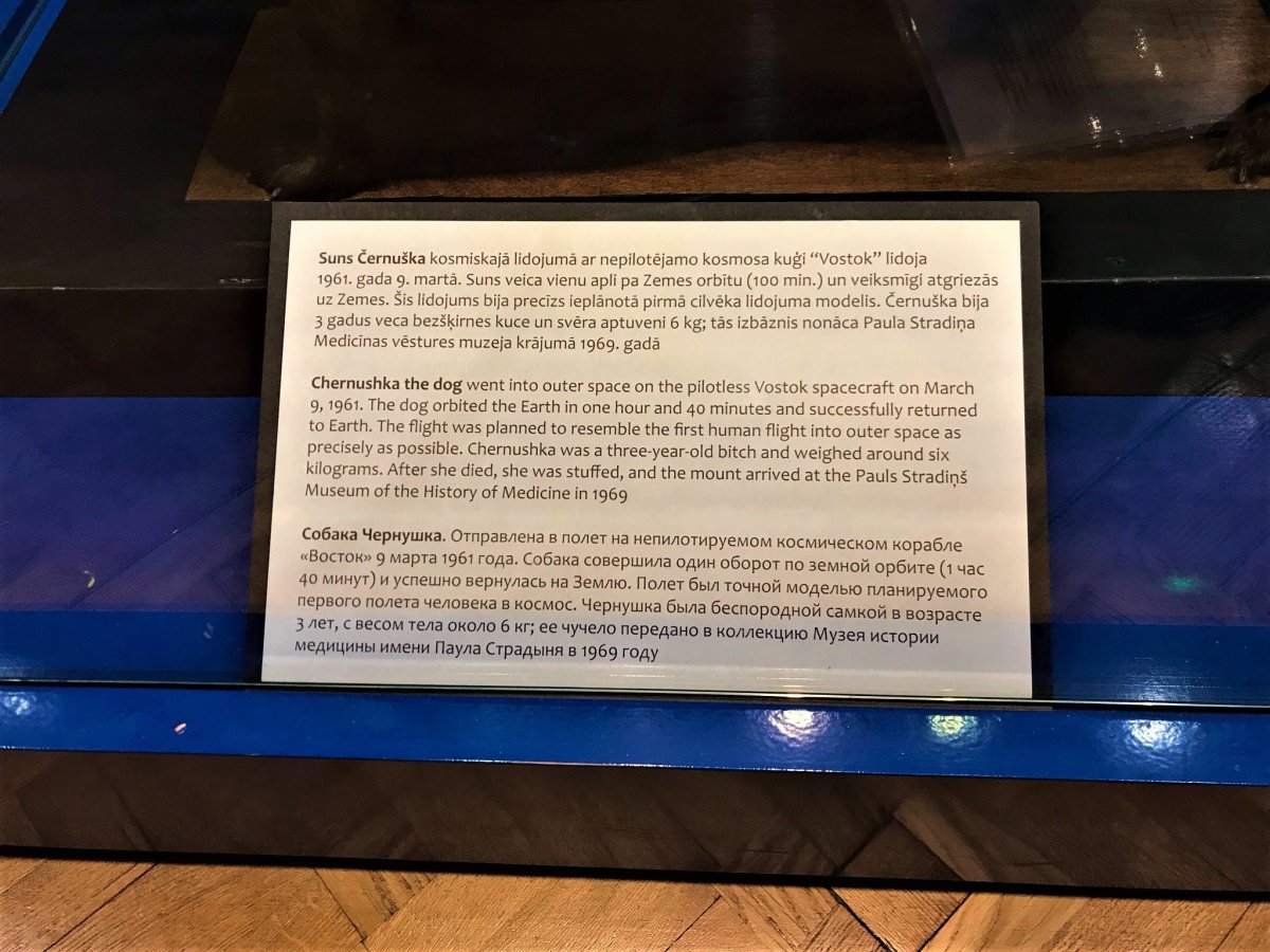 ...podařilo přežít.