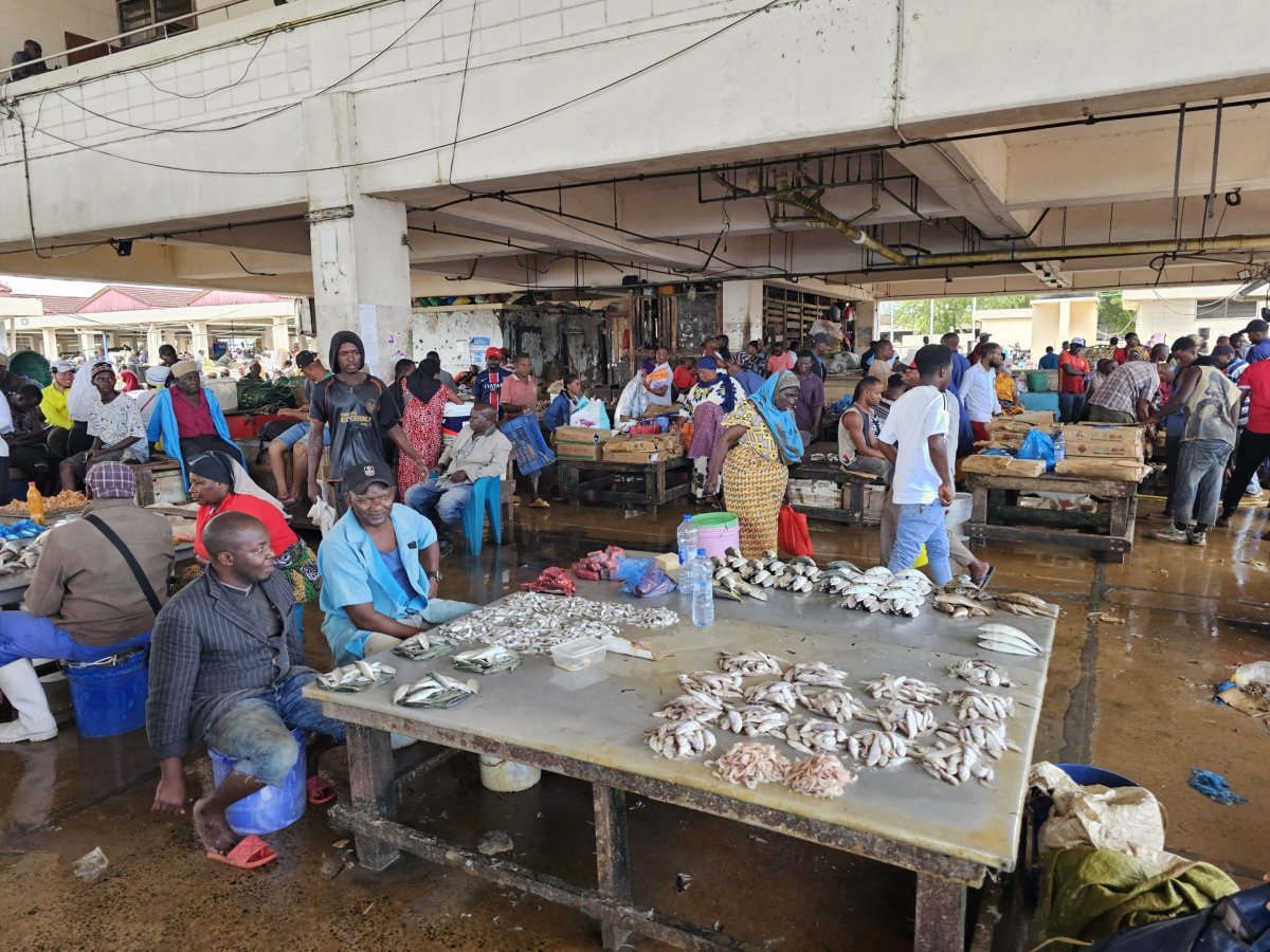 Ferry Fish Market