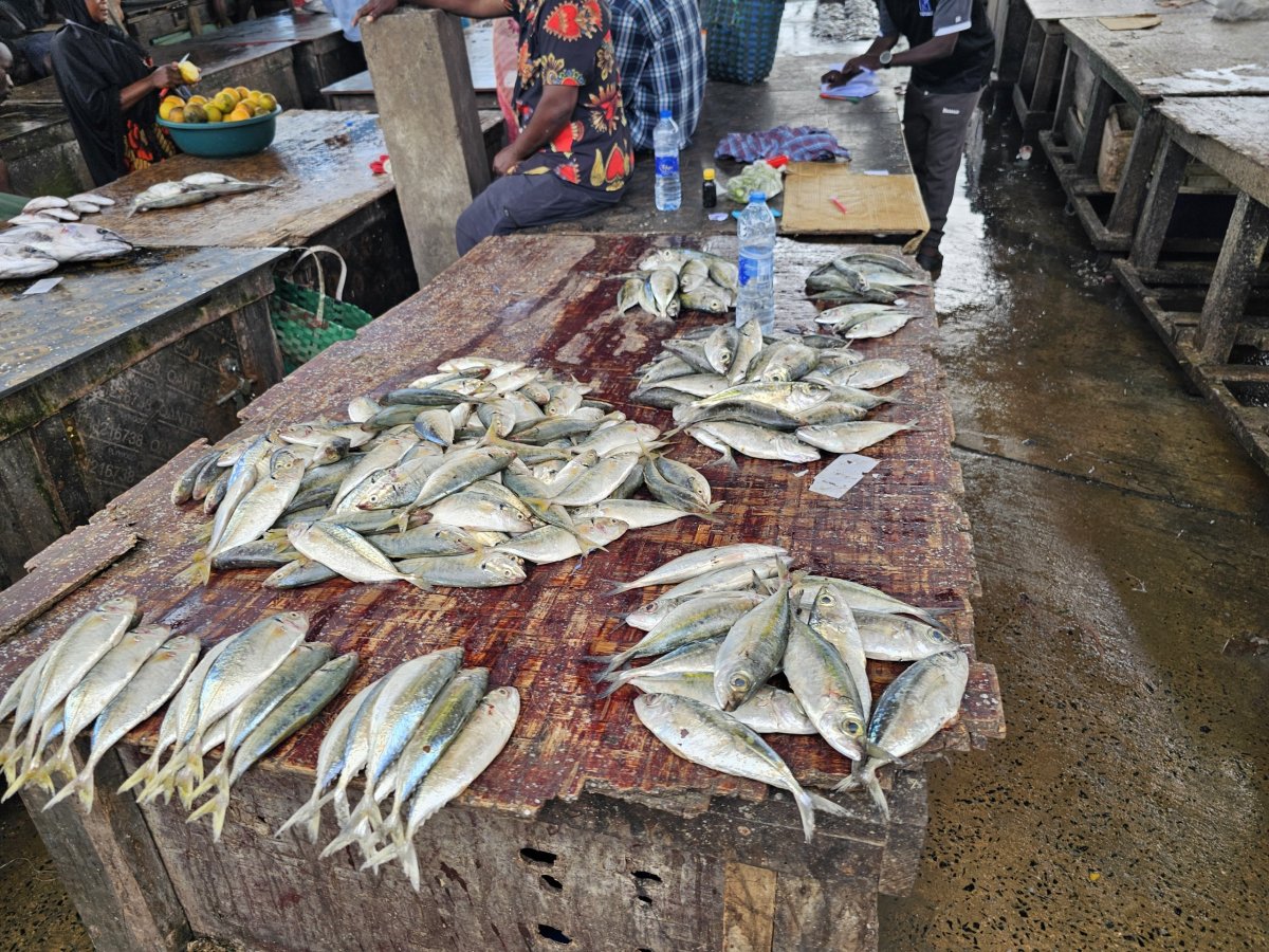 Ferry Fish Market