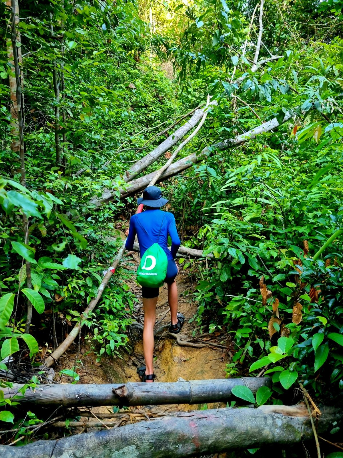 Jungle tracking