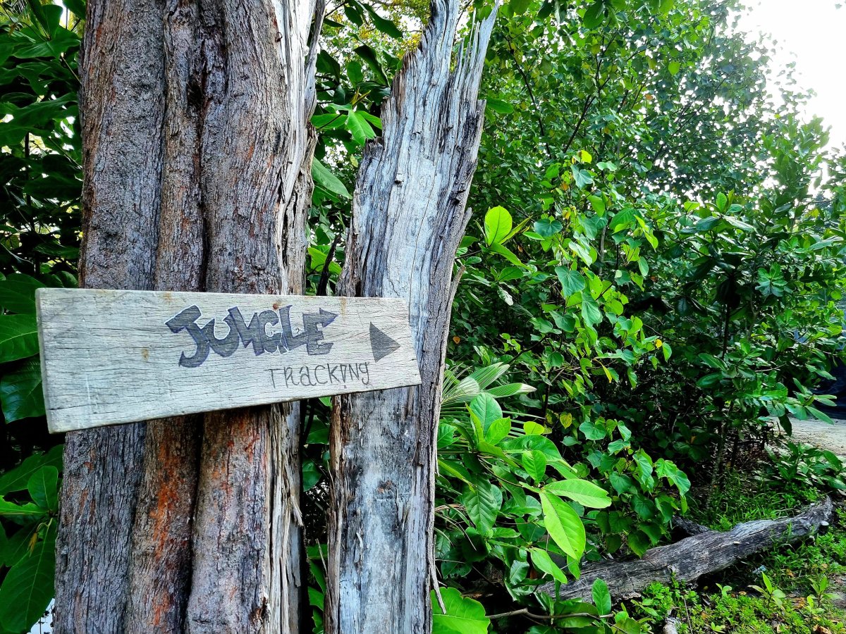 Jungle tracking