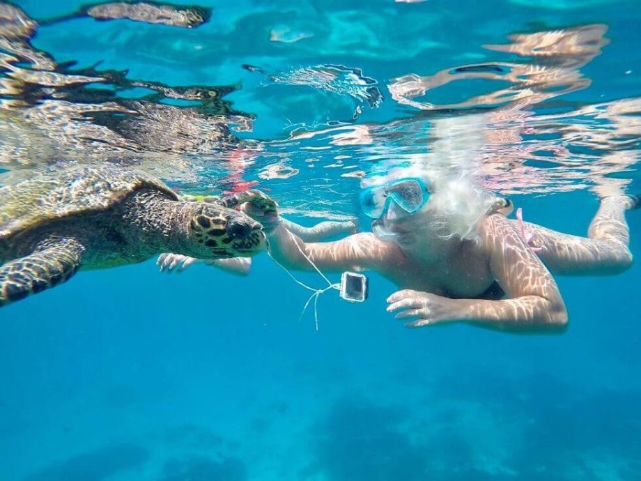 Plavání s želvami