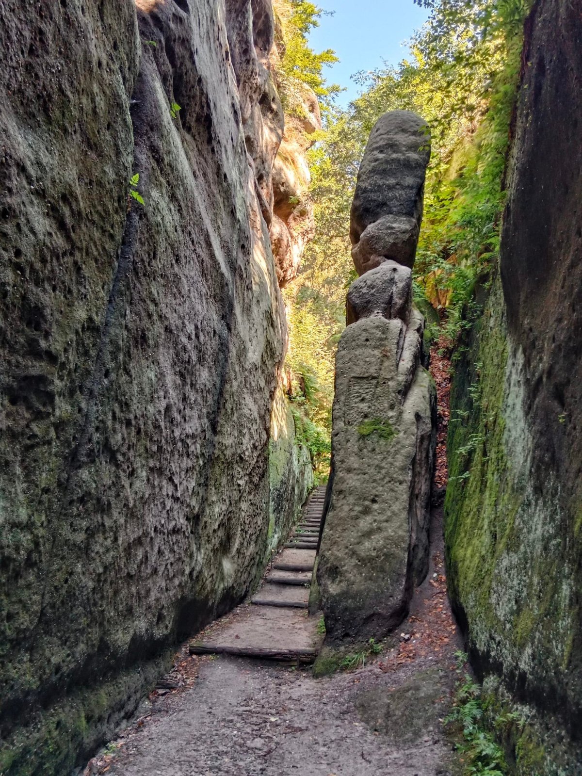 Skály v Kurort Oybin-cesou ke klášteru 