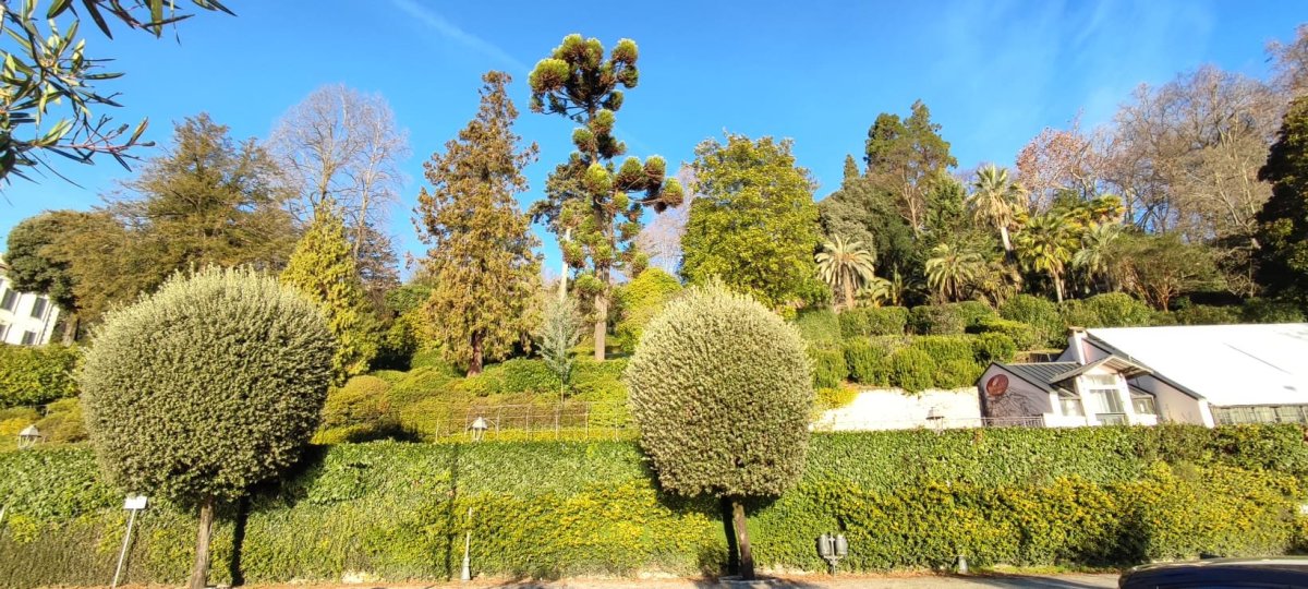 Botanická zahrada u vily Carlotty