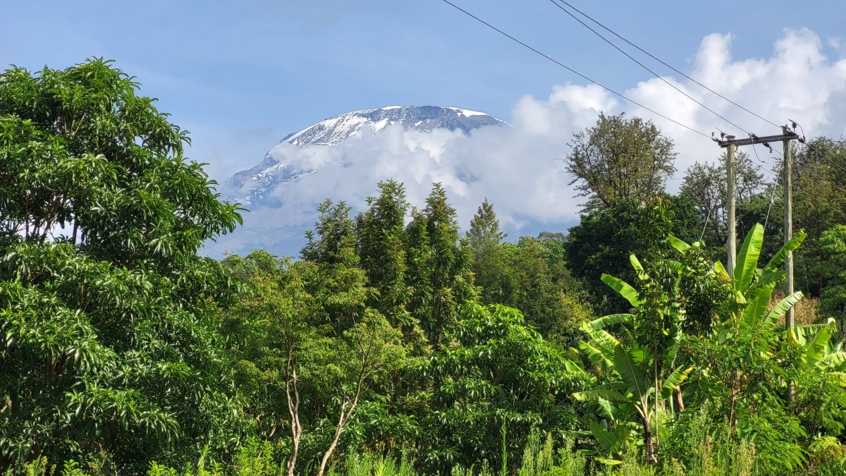 Kilimanjaro (5895 m)
