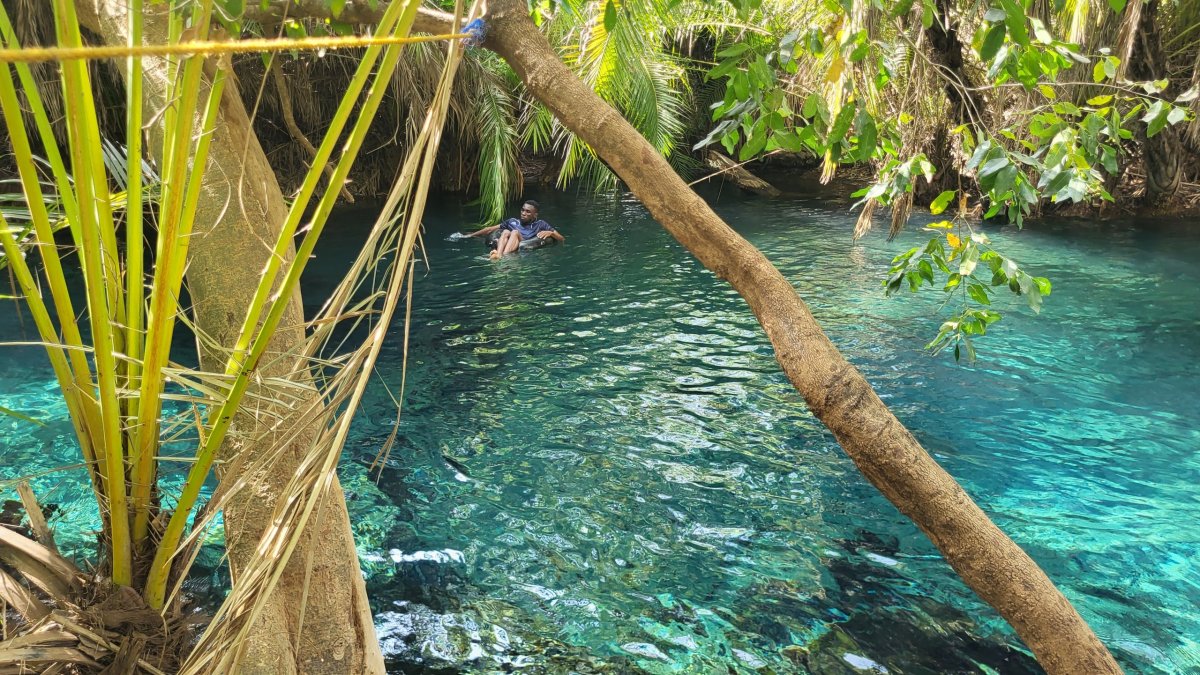 Kikuletwa Hot Springs