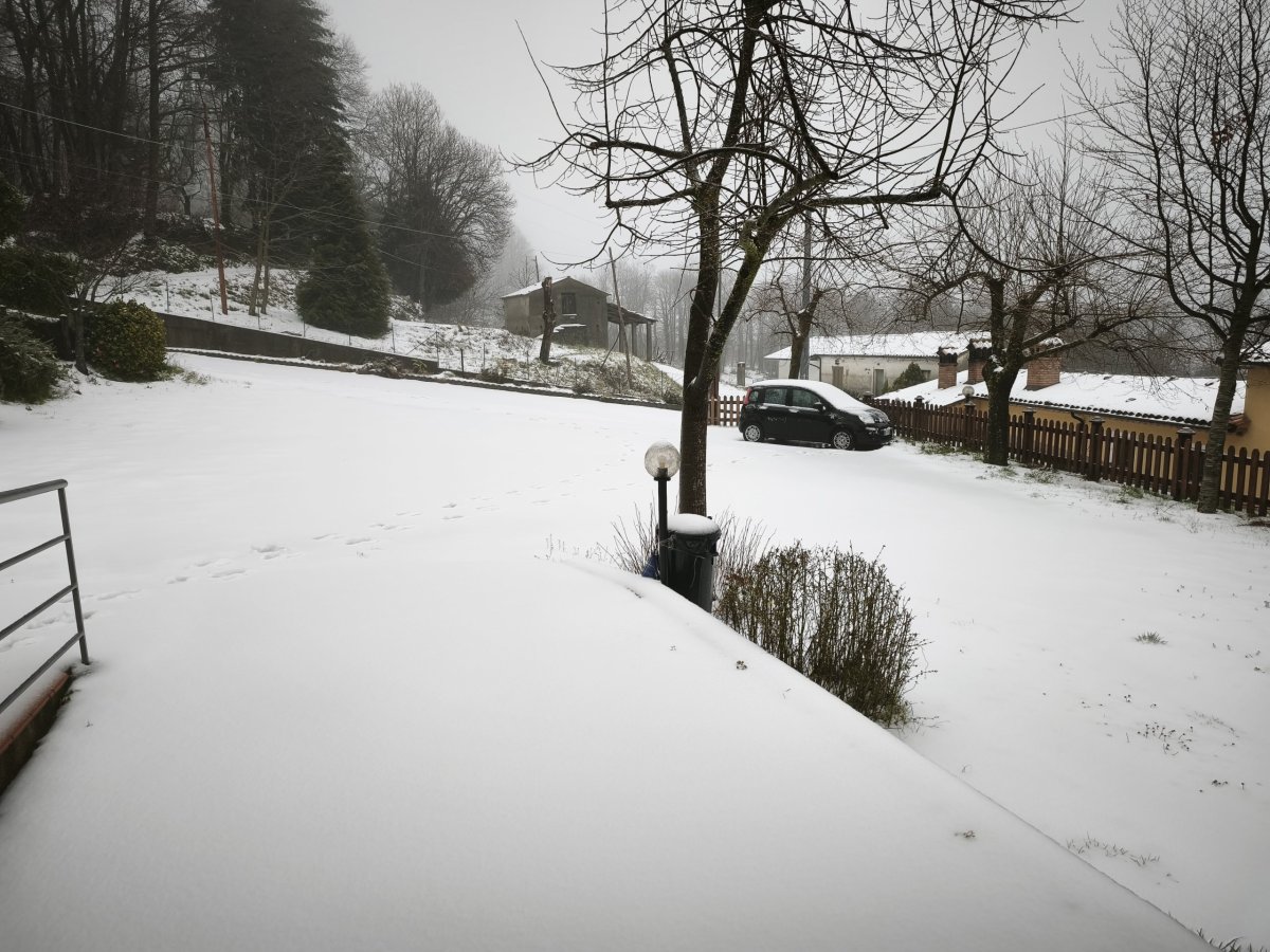 Ranní pohled z okna