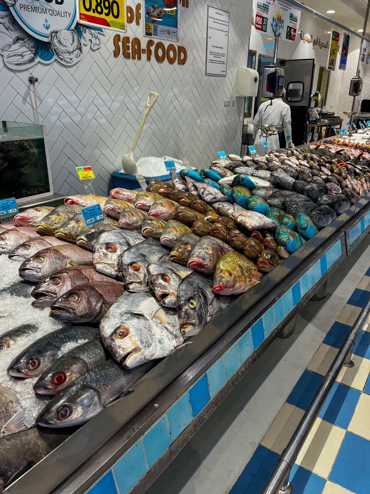 Milovníci ryb by si ve zdejších obchodech přišli na své...